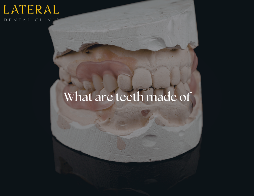 what are teeth made of - teeth 3d representation